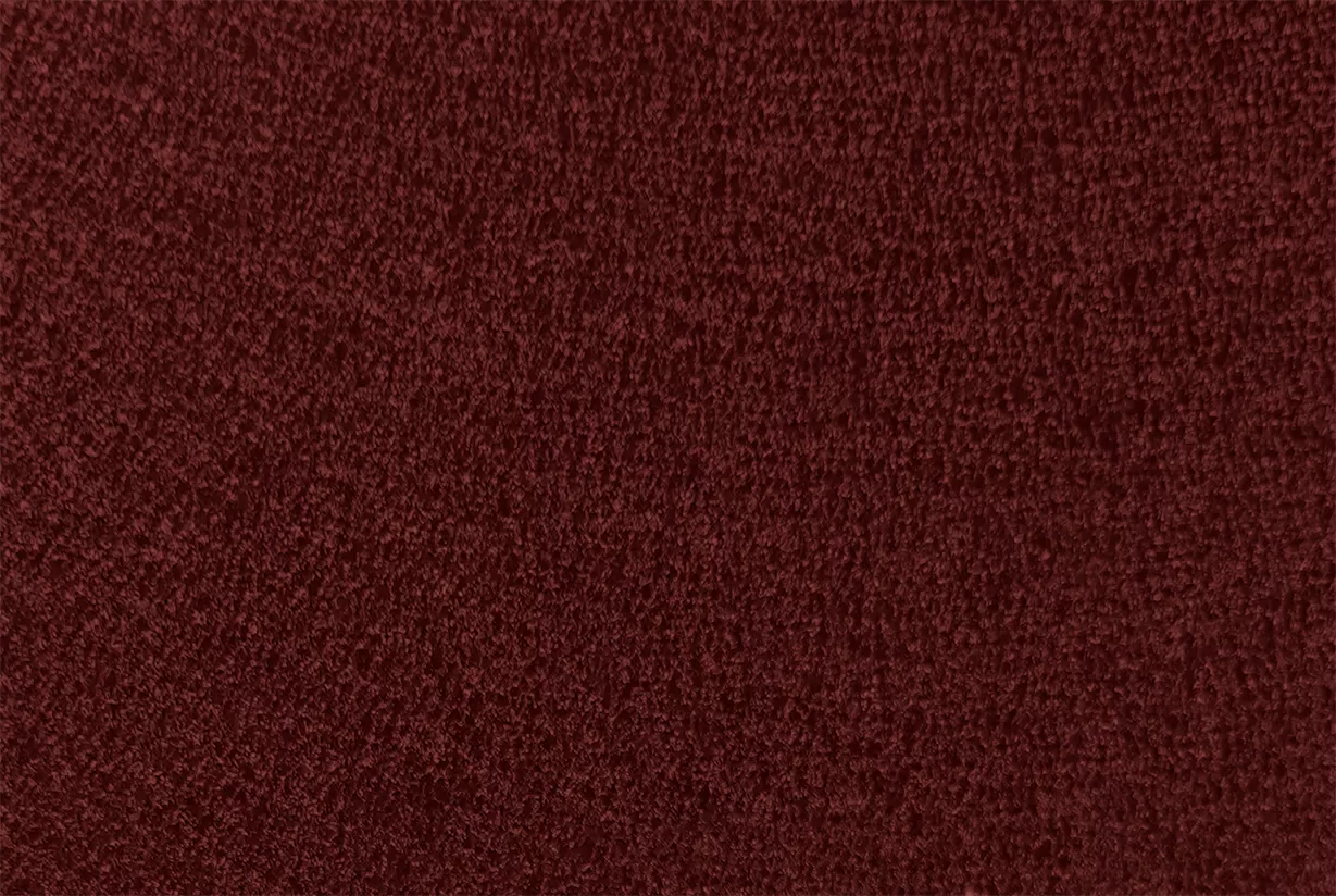 ral 3005